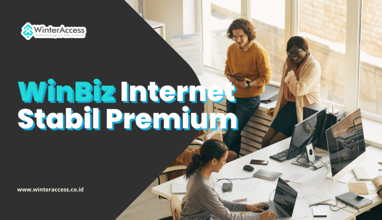 WinBiz Internet Stabil Premium