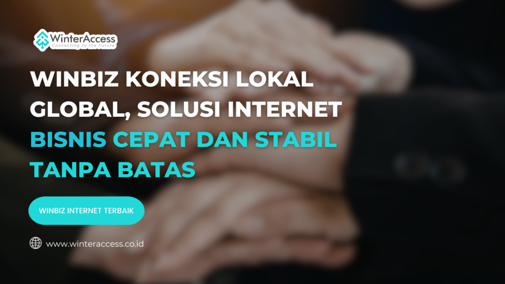 WinBiz Koneksi Lokal Global