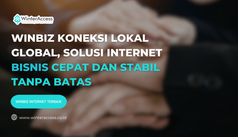 WinBiz Koneksi Lokal Global